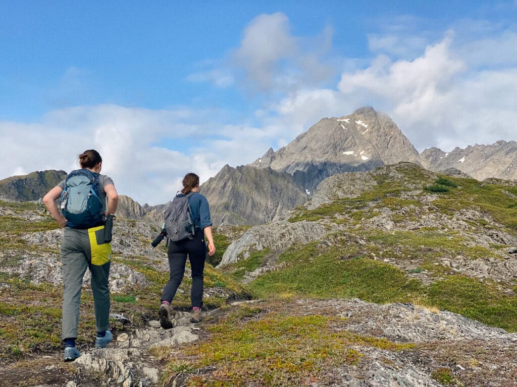 hiking in seward alaska in the summer