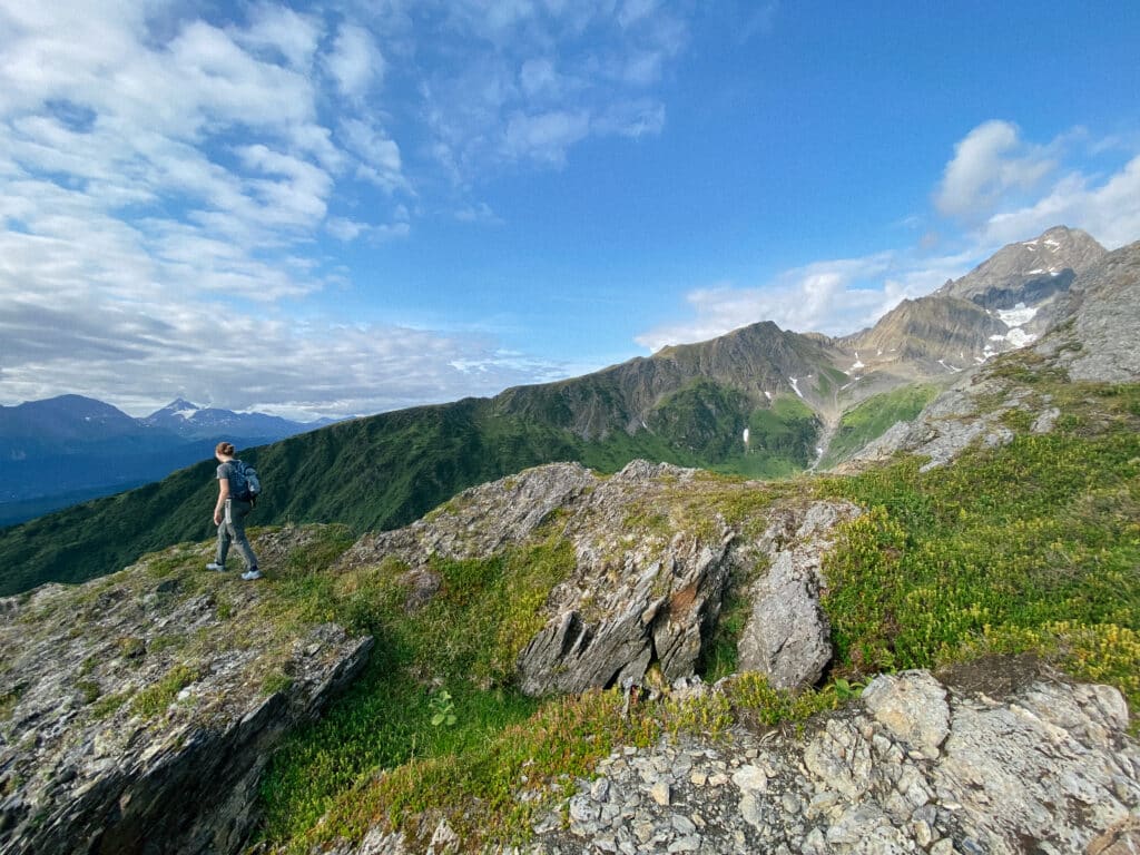 mount alice hike