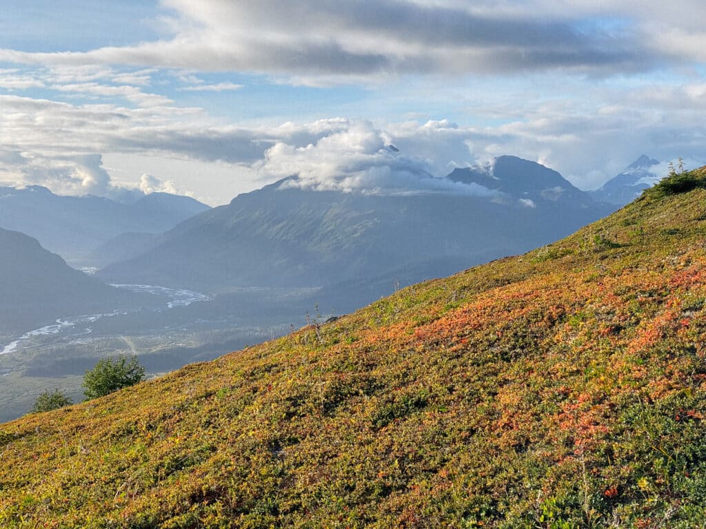 Alpine tundra in Seward