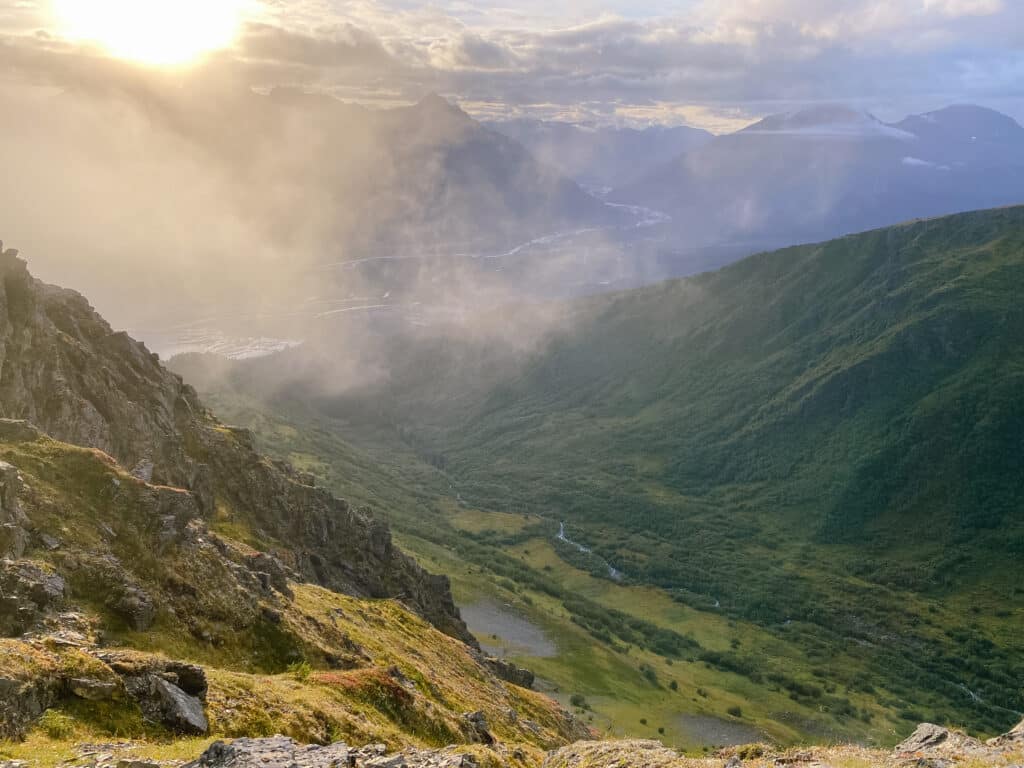 engulfed in clouds on the mount alice hike