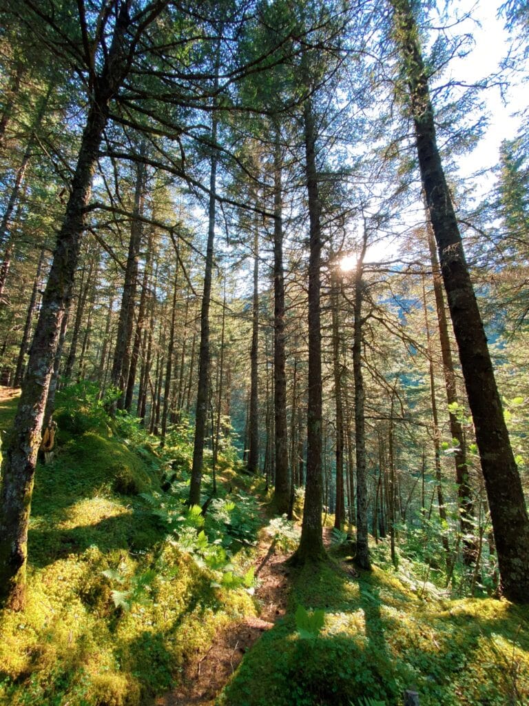 two lakes trail in seward, alaska