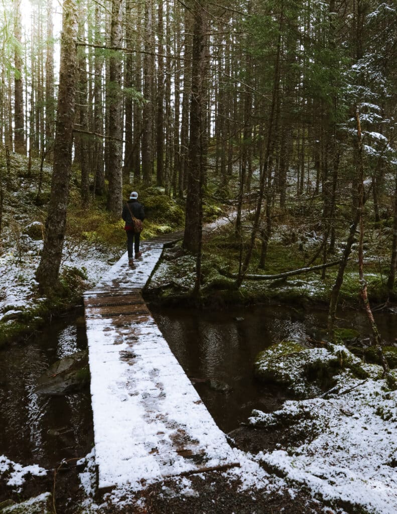 early spring on the two lakes trail in seward, ak