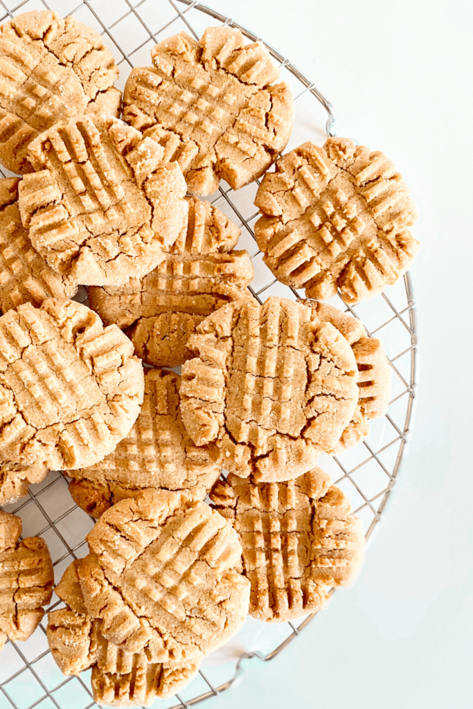 rv convection oven peanut butter cookies recipe