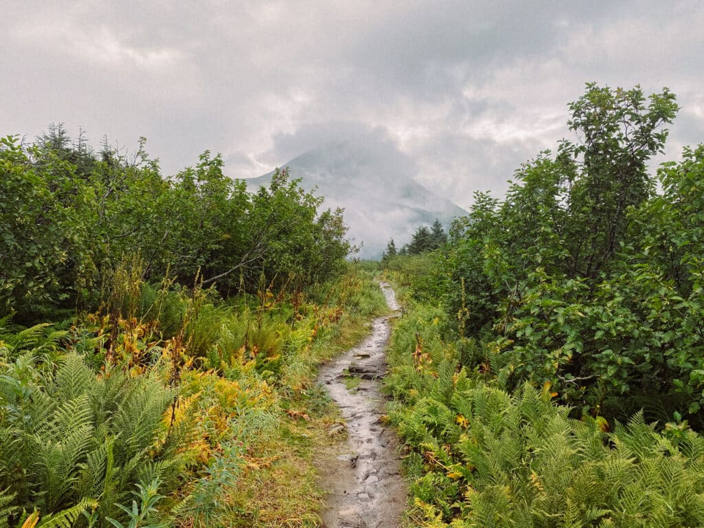 best hikes near seward alaska