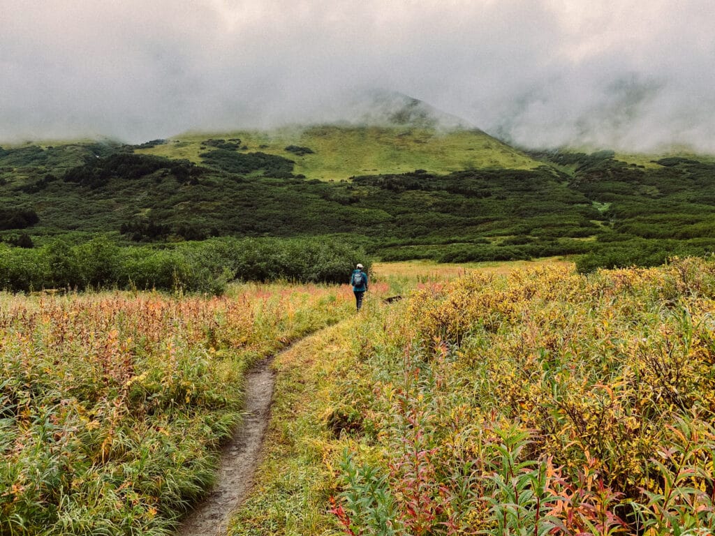 One woman walking with dog on leash along trail toward green grass covered mountain