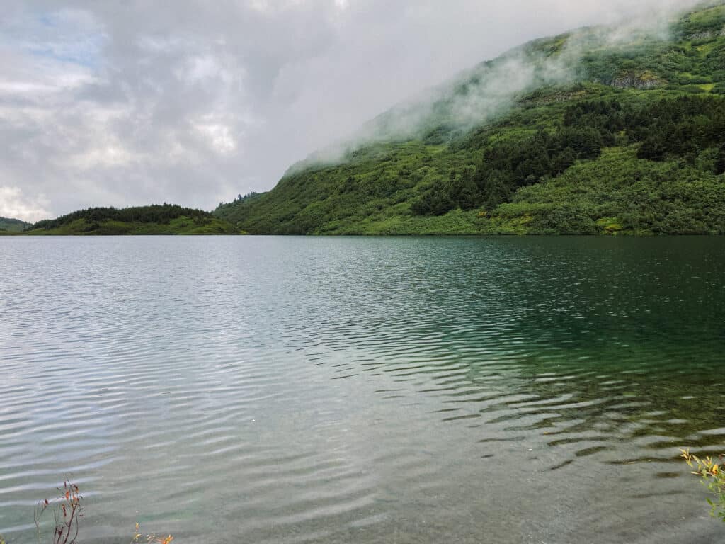 Lake and lush green mountain on a cloudy day, as seen while hiking Carter Lake Trail 