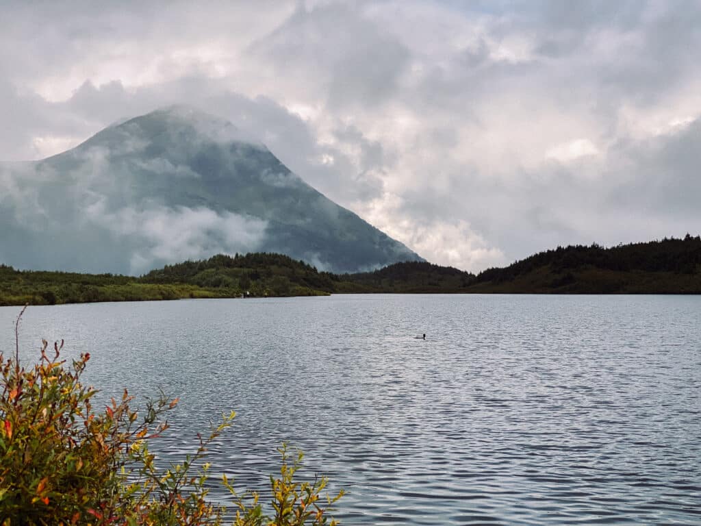 seward alaska hikes