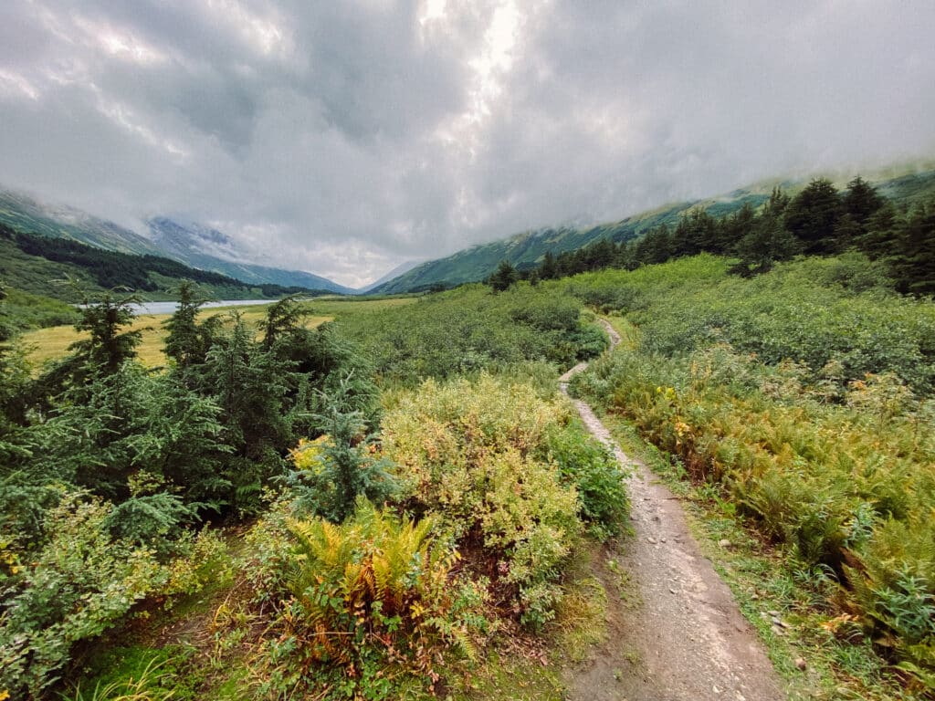 Narrow trail on right side of lush greenery and small view of lake