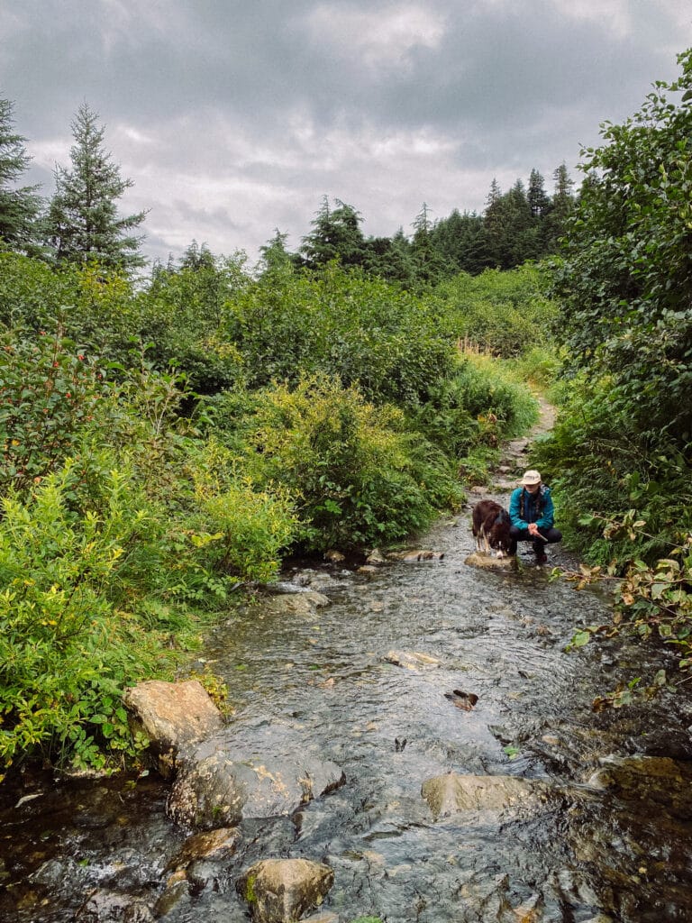 carter lake trail near seward alaska