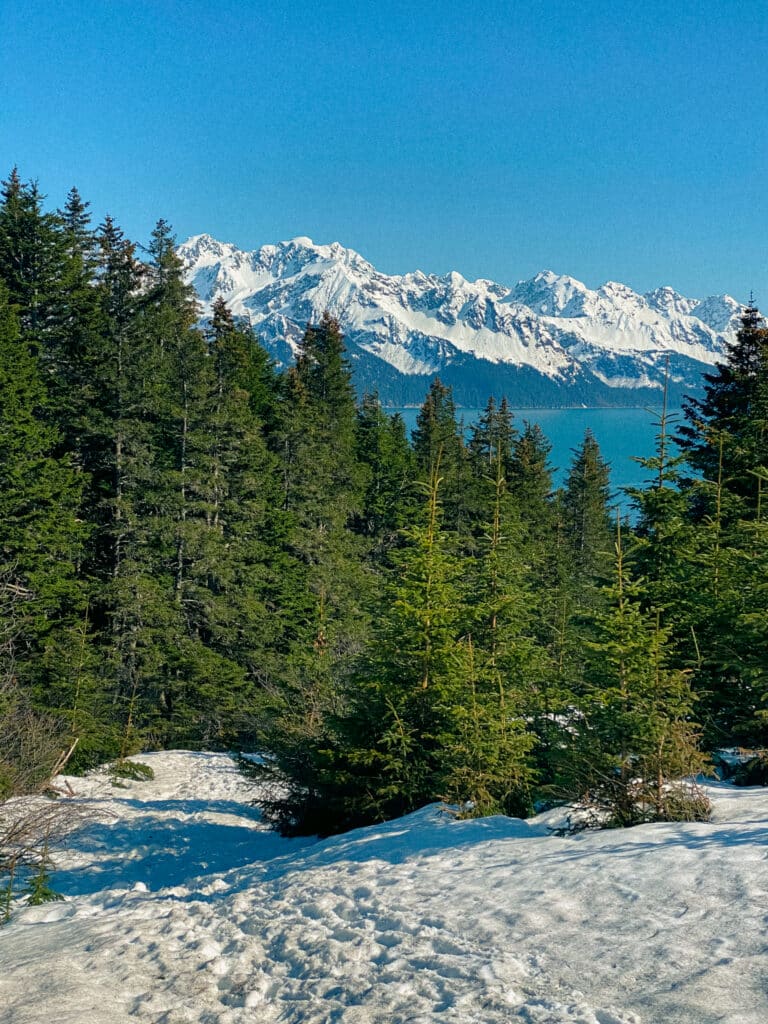 seward alaska in the spring