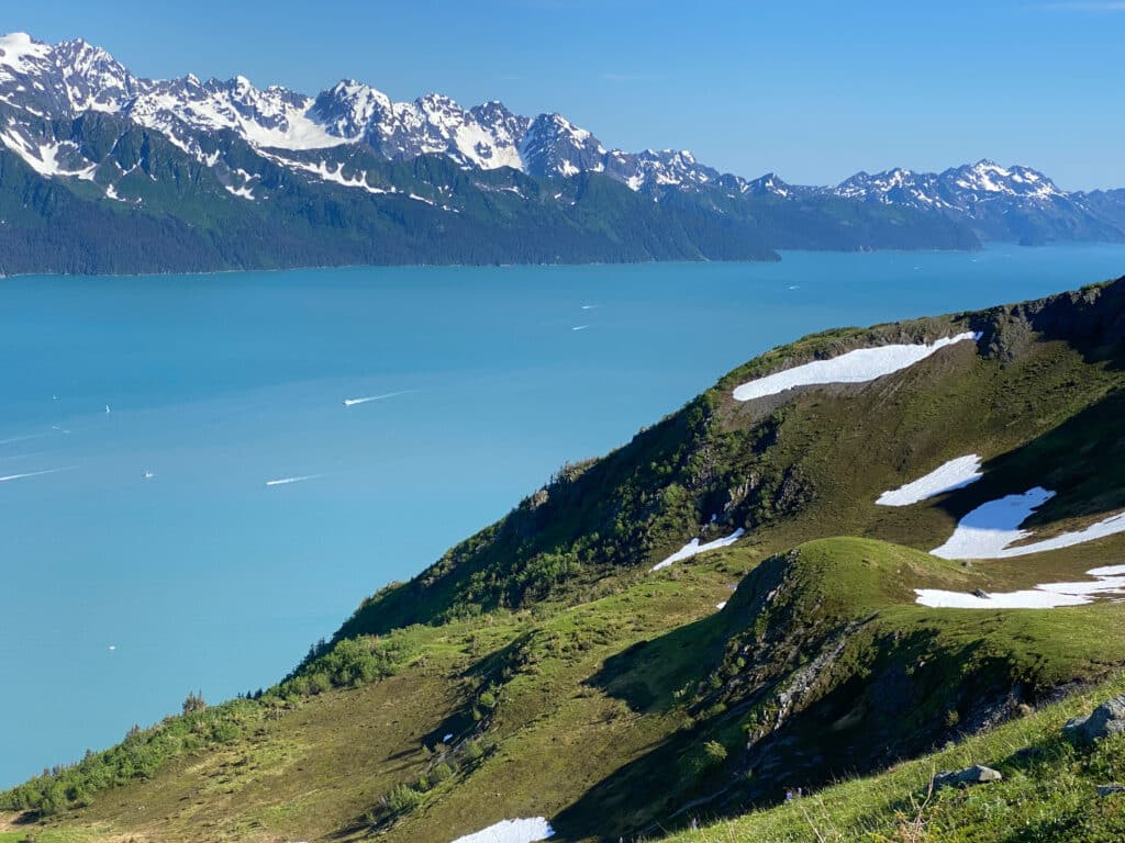 a view of Seward Alaska