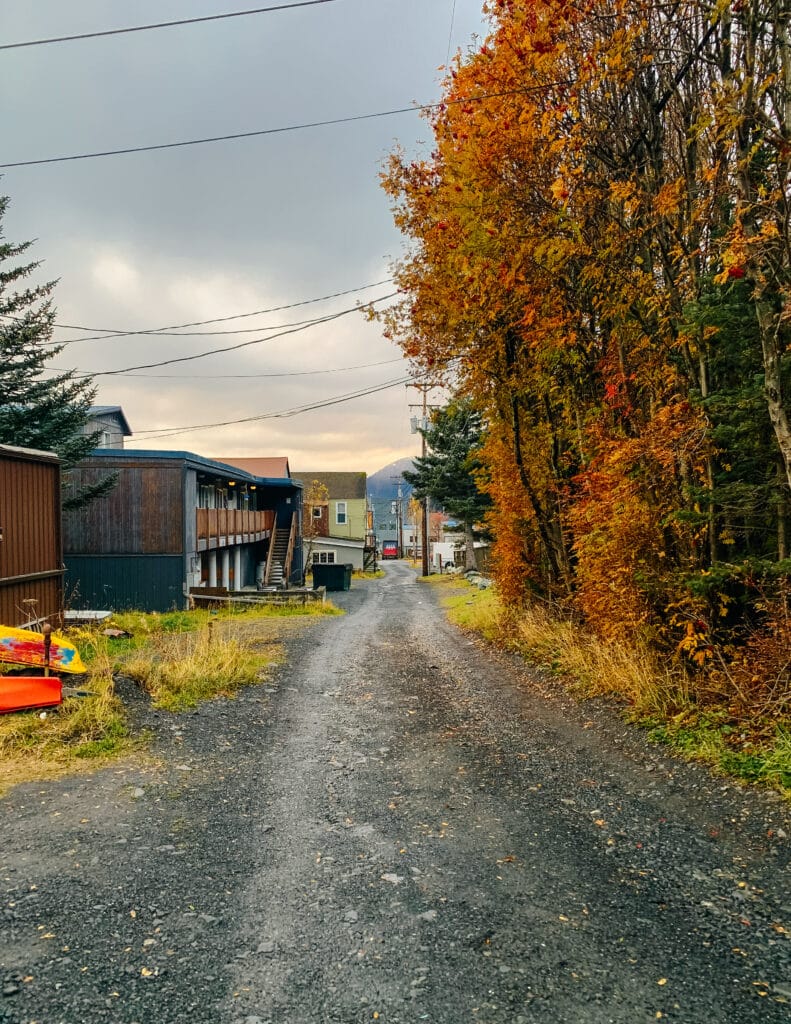 leaves changing colors in seward alaska