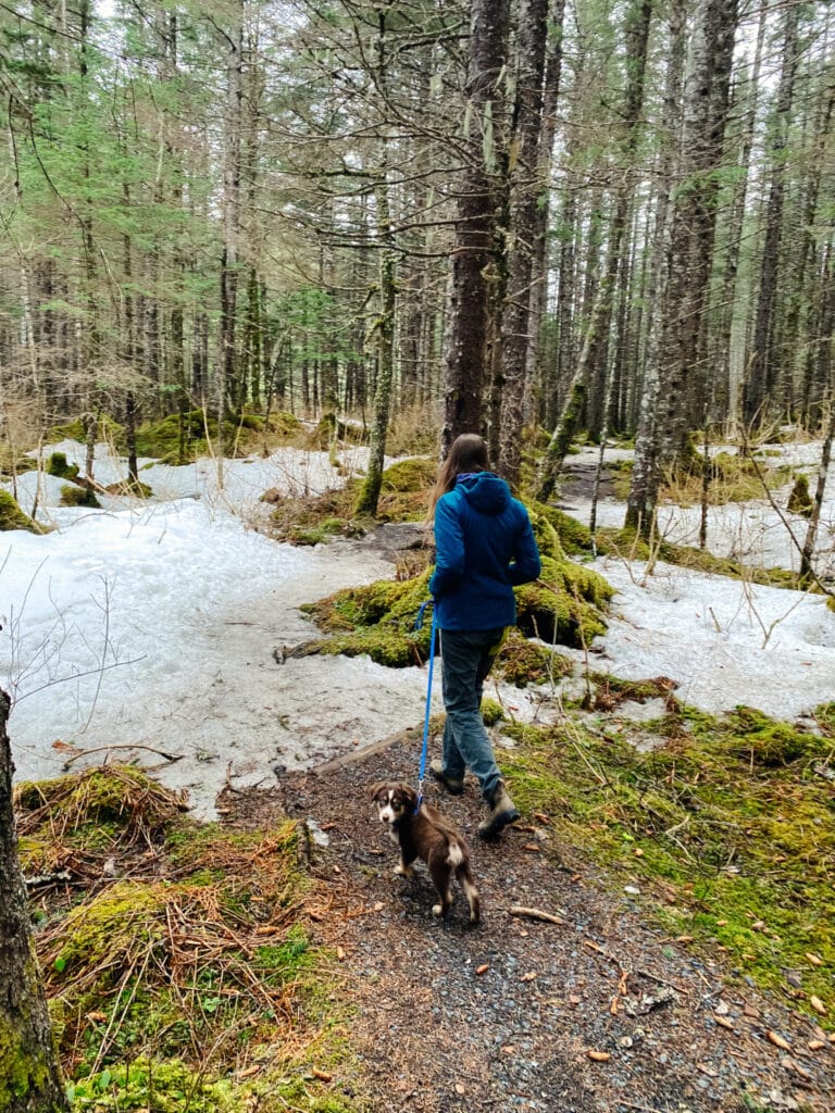 spring hiking in seward