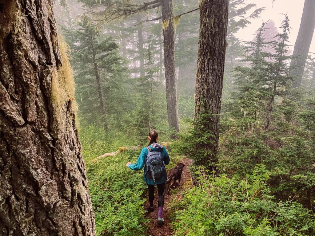 Running down the Mount Alice Trail Alaska