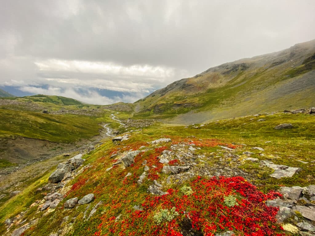 Autumn in the Mount Marathon Bowl