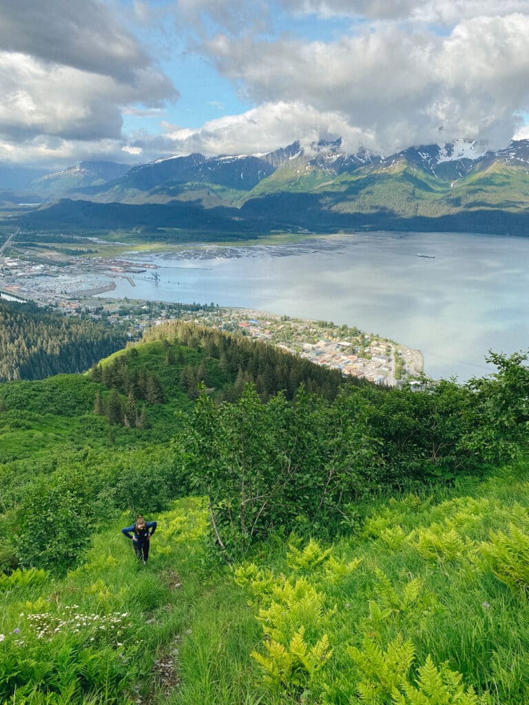 A view of Seward down below.