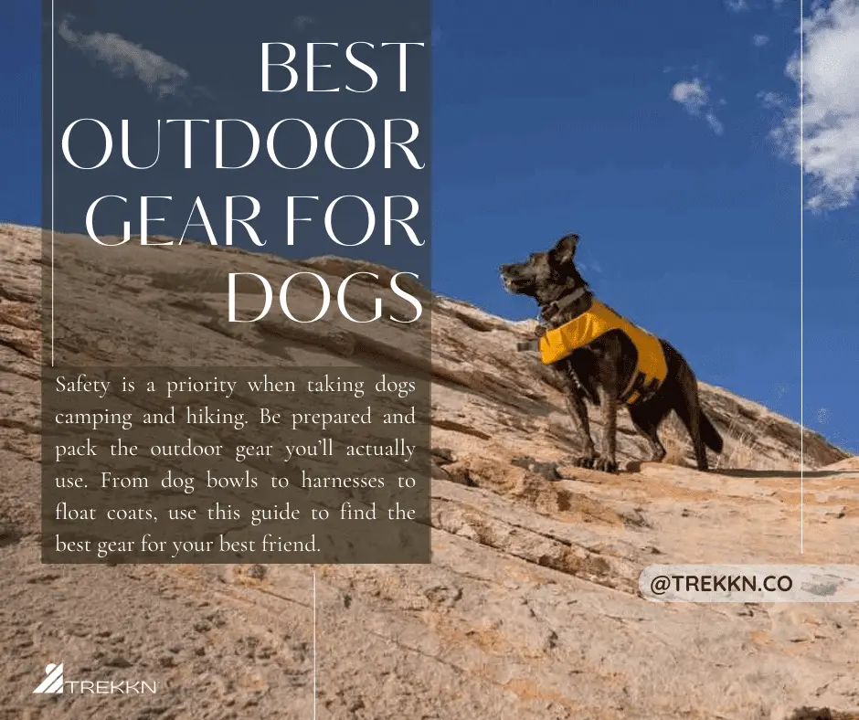 Black dog wearing life vest standing on rocks during hike.