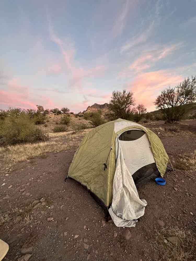 Single tent pitched in open landscape with dog bowl outside near entrance.