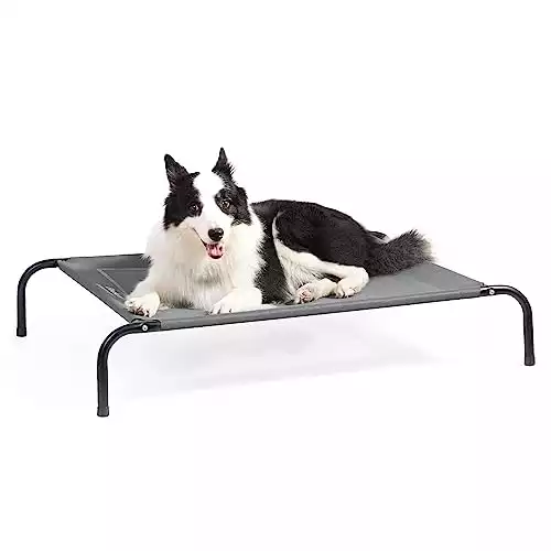 Elevated Dog Hammock