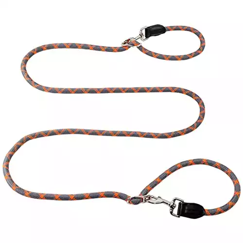 Hands Free Dog Leash