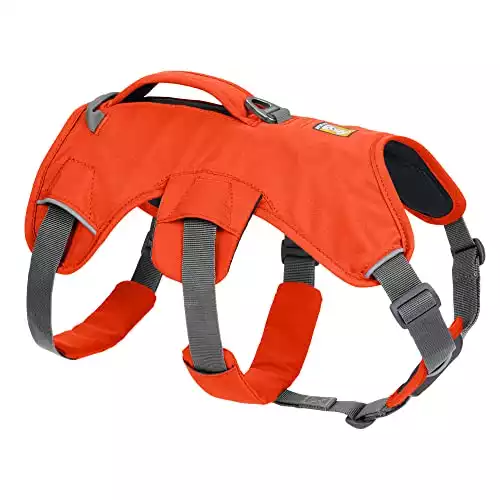 Ruffwear Dog Harness