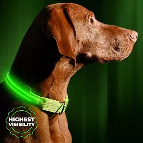 LED Light Up Dog Collar