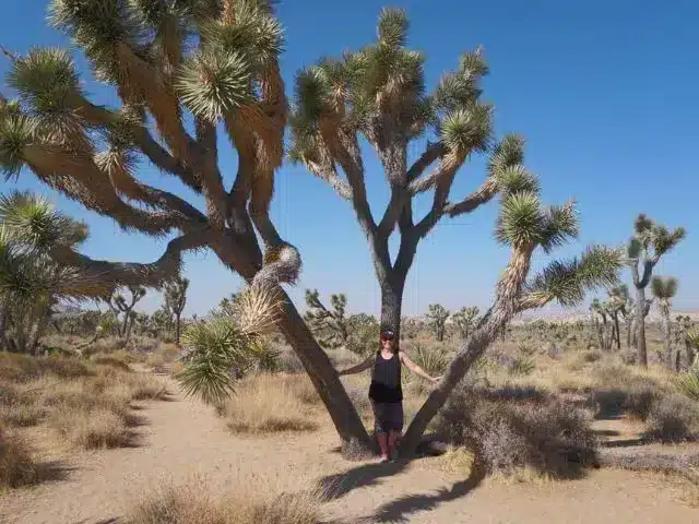 Woman standing in front of tree at Joshua Tree National Park.