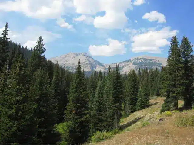 View of Bannock Peak of The Gallatin Range in Yellowstone National Park