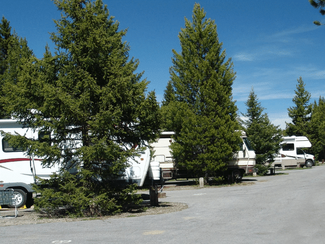 Motorhomes and trailers parked in campsites at Fishing Bridge in Yellowstone National Park