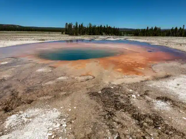 Thermal hot springs in Yellowstone