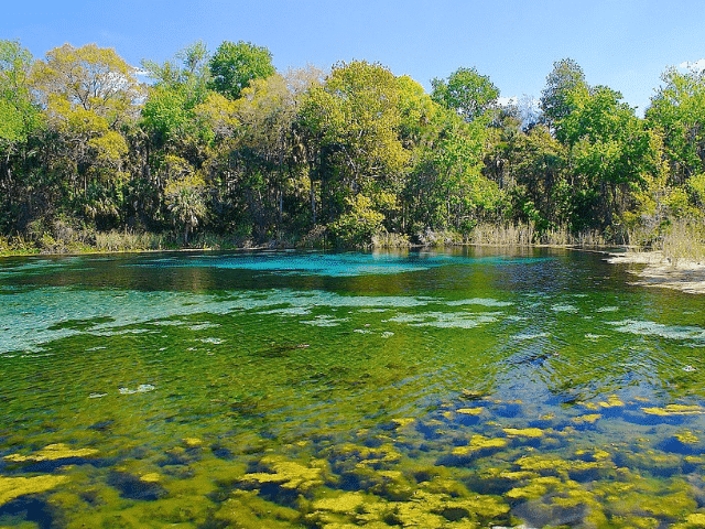 Lake within Alexander Springs Recreation Area