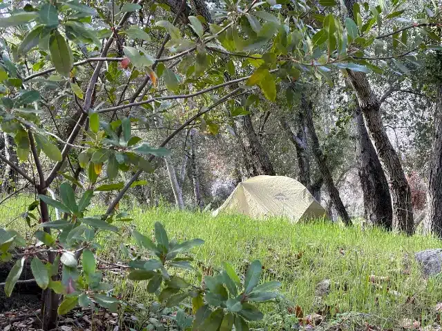 MSR Hubba Hubba tent pitched on grass near woods