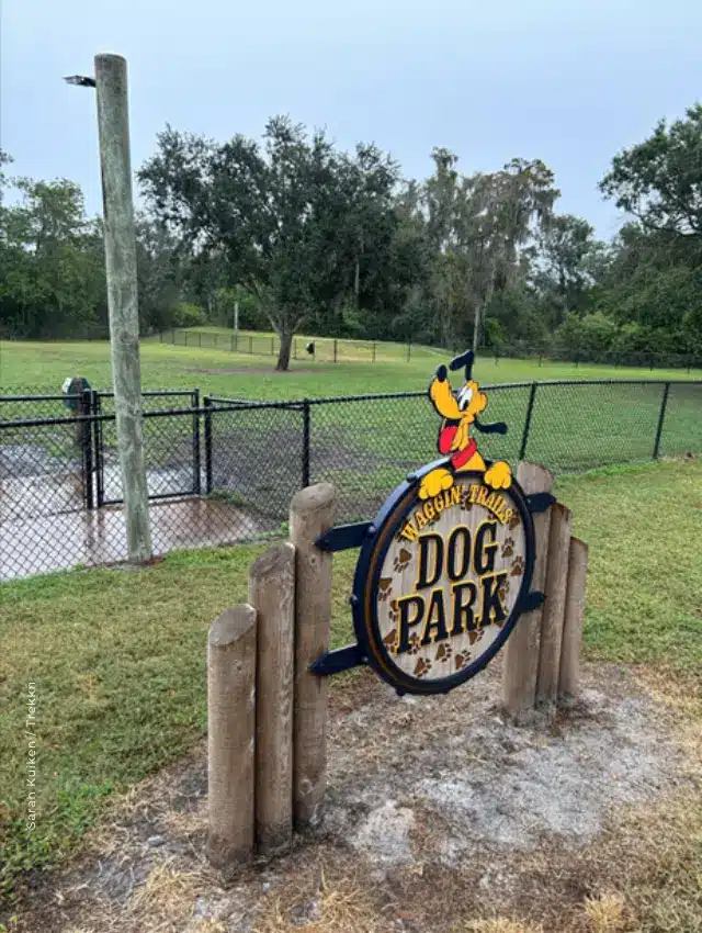 Dog park at Fort Wilderness Campground at Disney World.