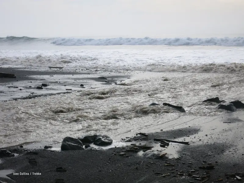 Coast of California beach.