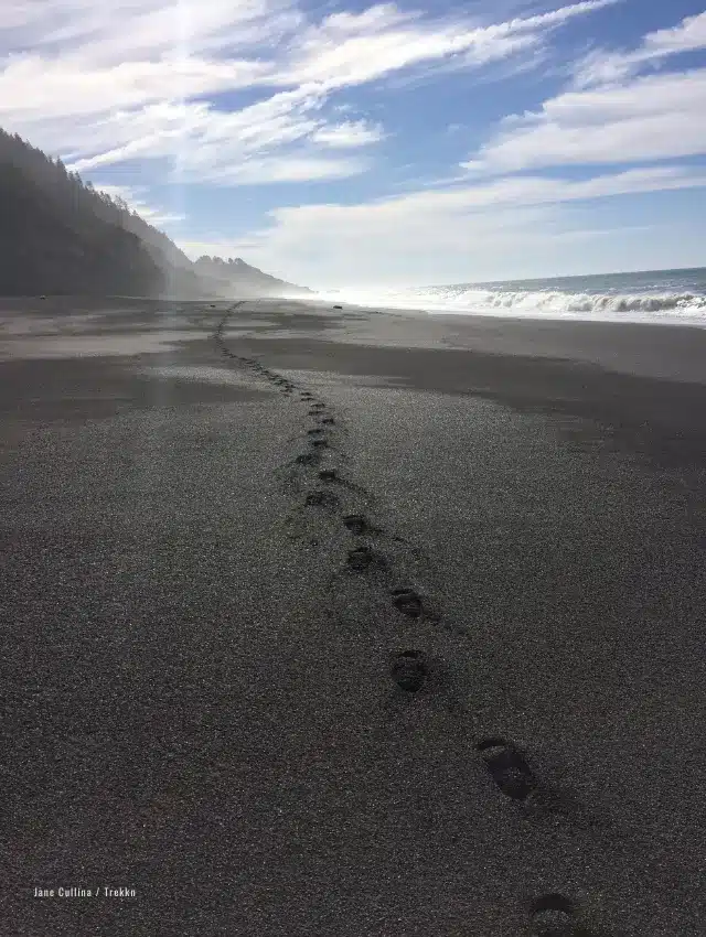 Footprints in sand at California beach.