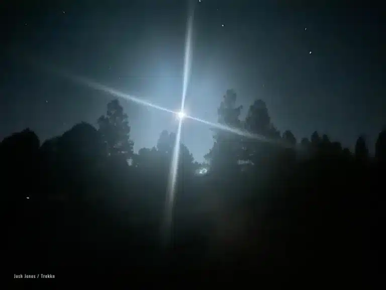 Bright moon and skyline of trees at night.